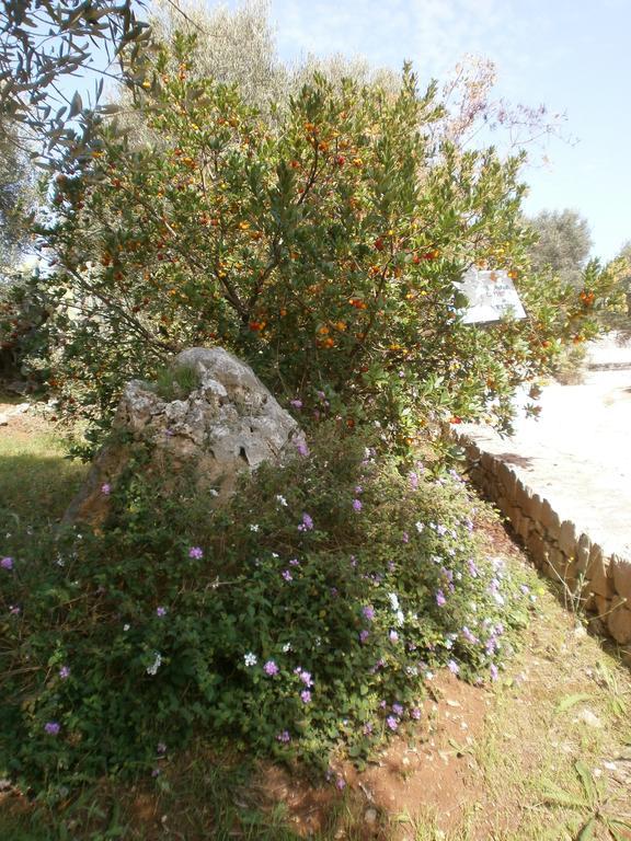 Trullo Villa Giuliana Con Giardino Posizione Panoramica Free Wifi Ostuni Exteriör bild