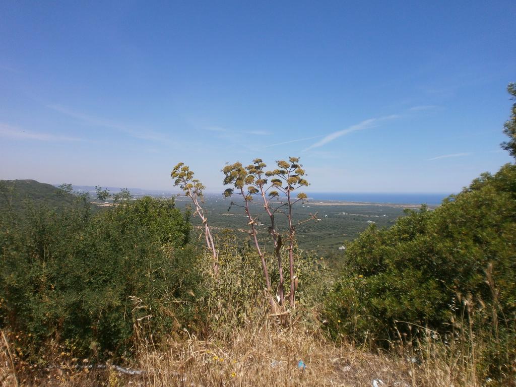 Trullo Villa Giuliana Con Giardino Posizione Panoramica Free Wifi Ostuni Rum bild
